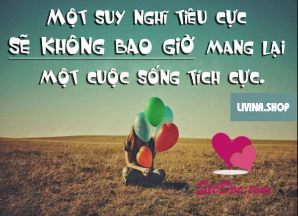 Kệ Card visit treo tường 8x6 ô (48 ô sử dụng)