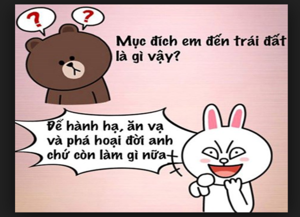 Hộp mica để hồ sơ xin việc