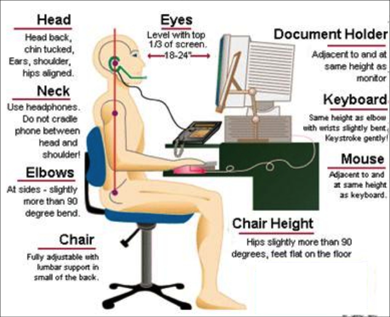 Tư thế ngồi làm việc