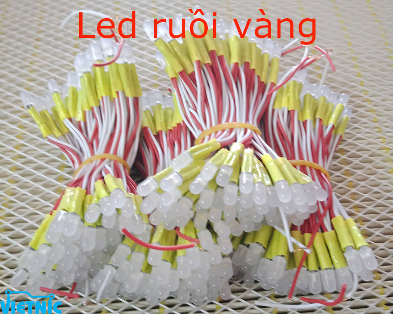 LED ruồi vàng