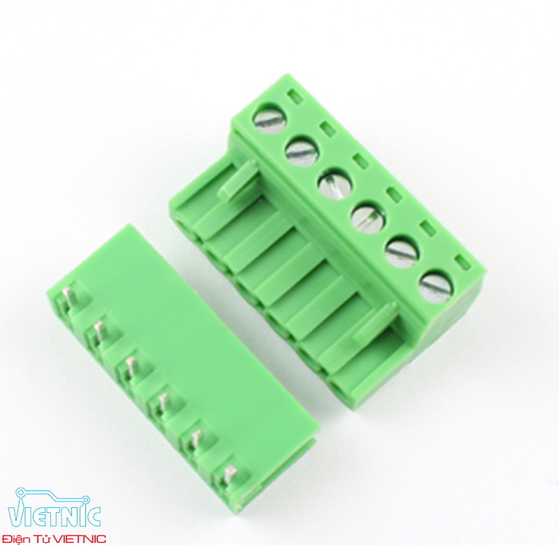 DOMINO 6 CHÂN CONG