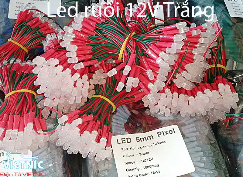 led ruồi 12V màu trắng