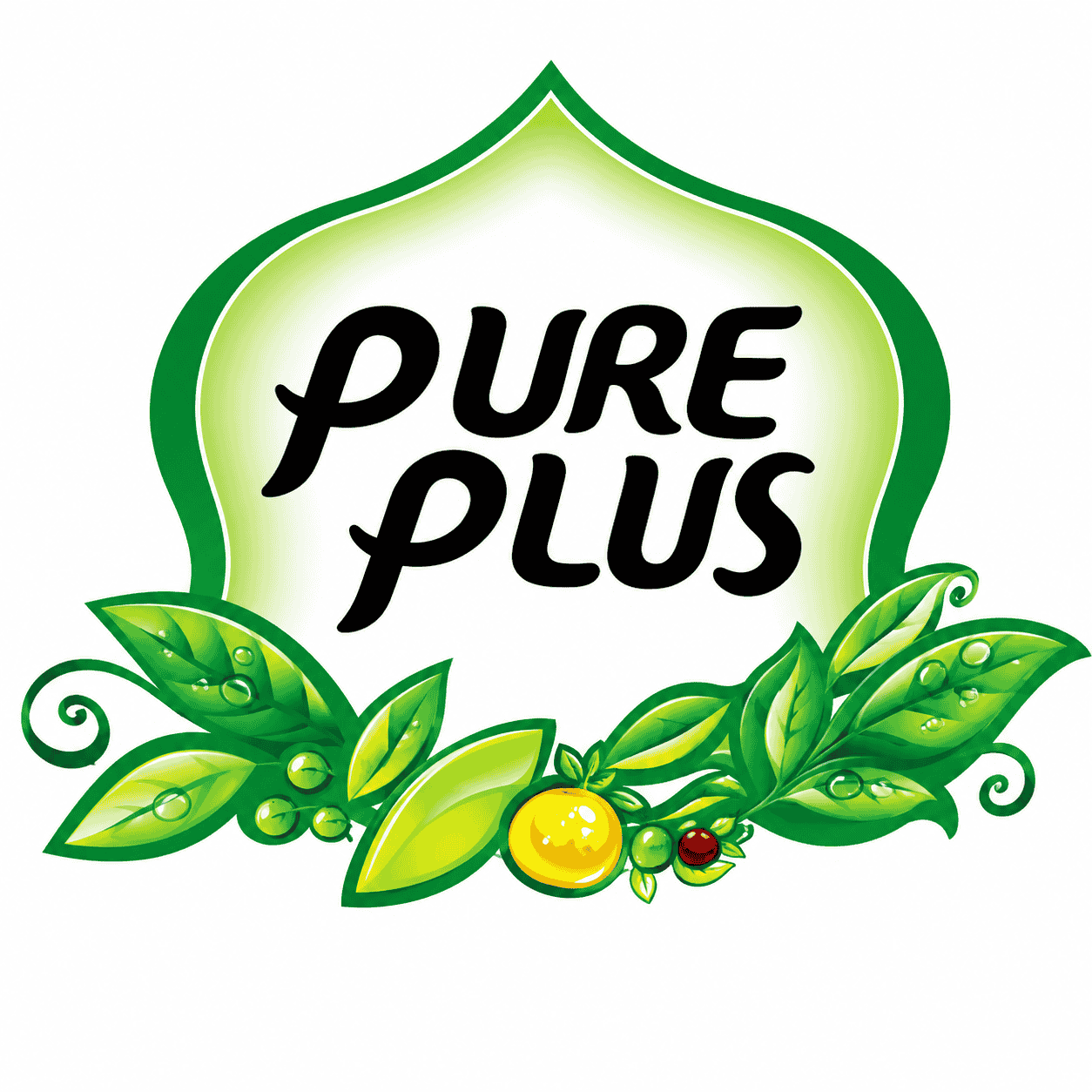 Pure Plus Co., Ltd.: Giải Pháp Đồ Uống Hàn Quốc Đáng Tin Cậy