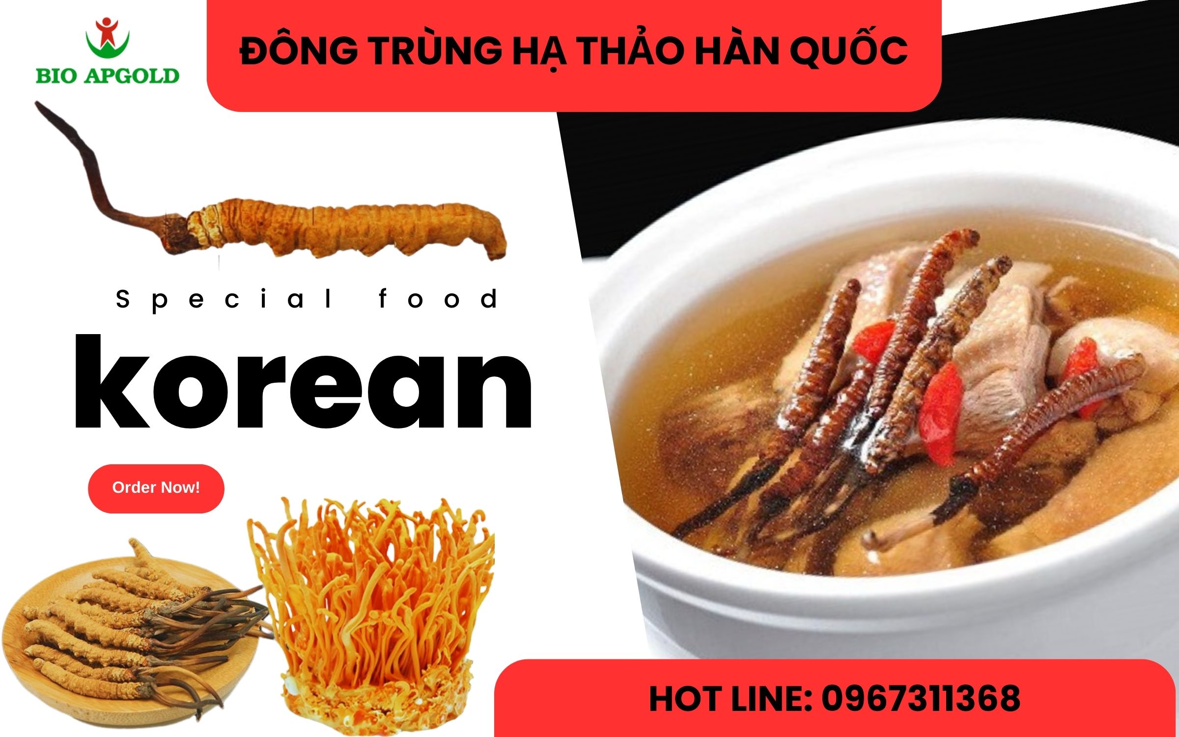 đông trùng hạ thảo hàn quốc