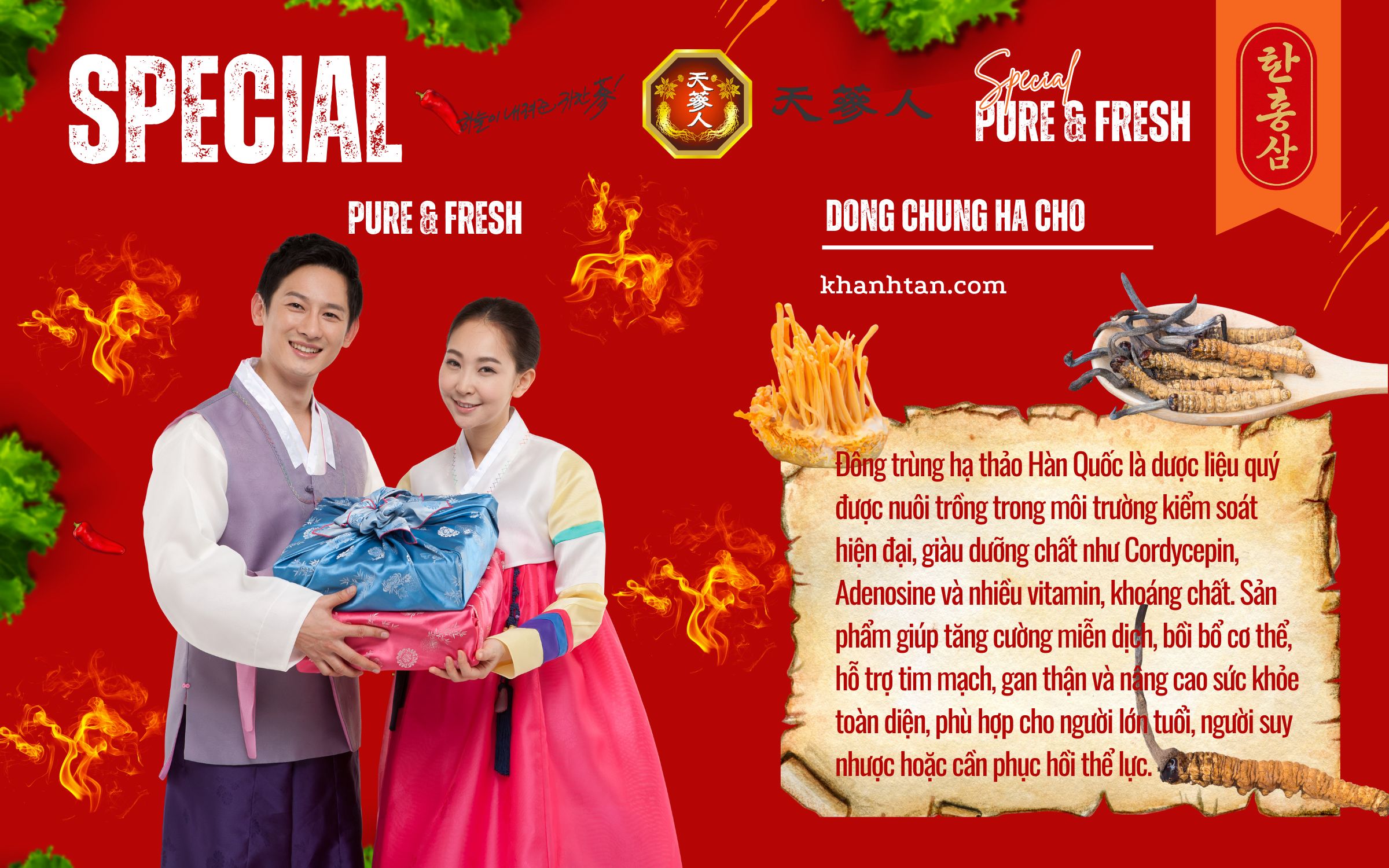 đông trùng hạ thảo hàn quốc - công ty TNHH TM khánh tân