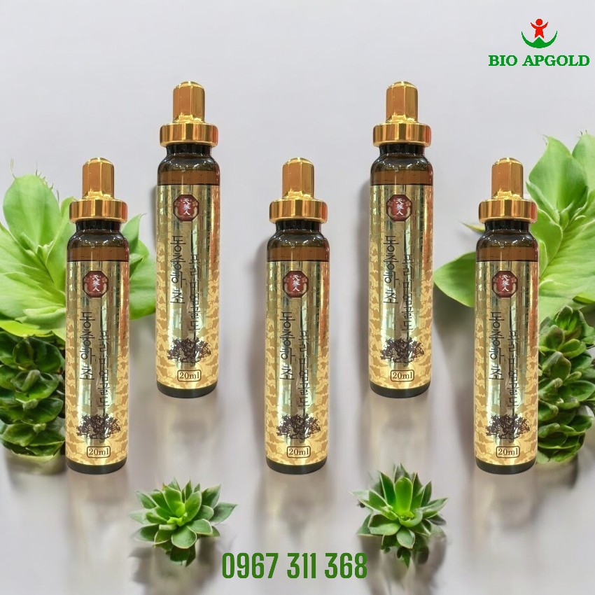 đông trùng hạ thảo ống hàn quốc
