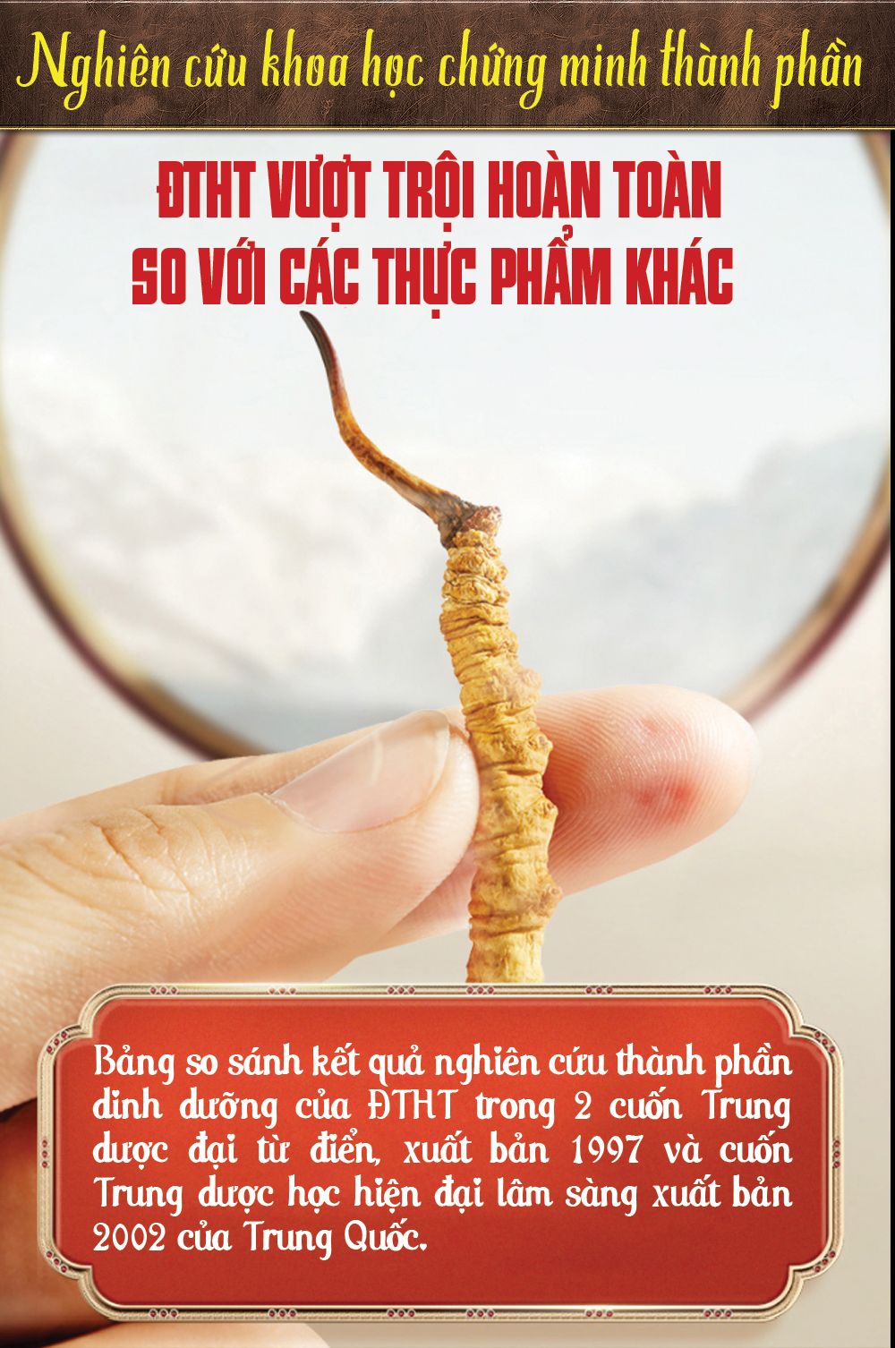 nguồn gốc xuất xứ của đông trùng hạ thảo