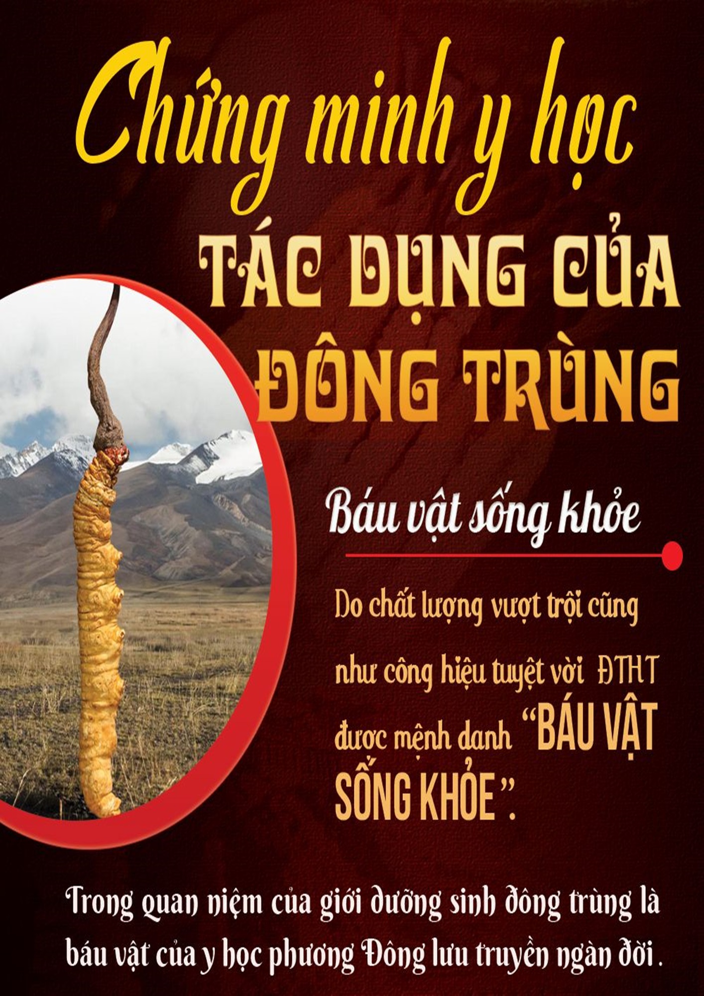 nước đông trùng hạ thảo hàn quốc