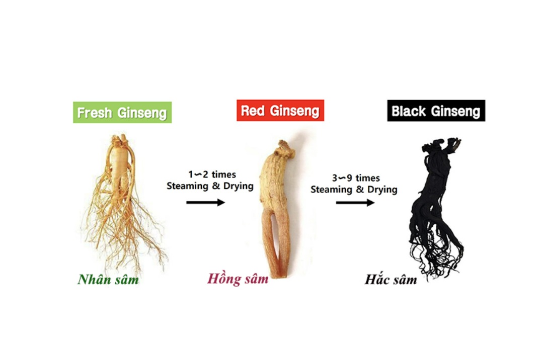 quy trình chế biến hắc sâm hàn quốc