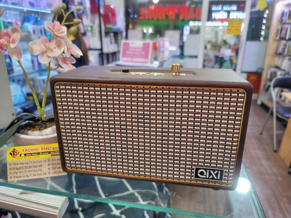 Loa karaoke Bluetooth Qixi 2036 (kèm 2 mic)