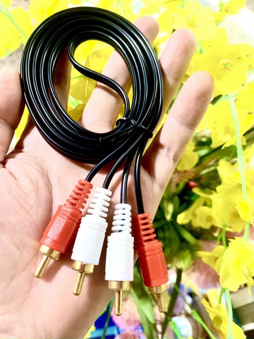 Cáp chuyển av 2 đầu bông sen ra 2 đầu bông sen