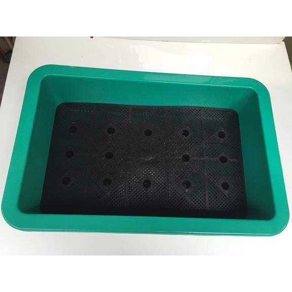 Chậu mầm nhỏ (XANH NGỌC)