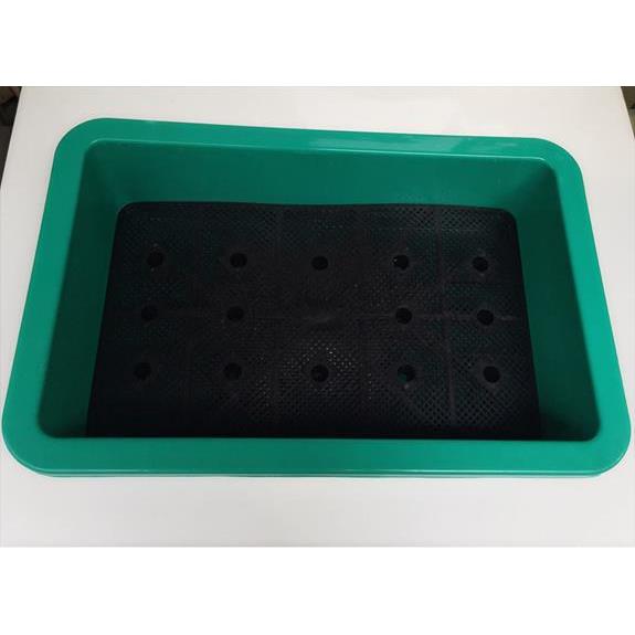 Chậu mầm nhỏ (XANH NGỌC)