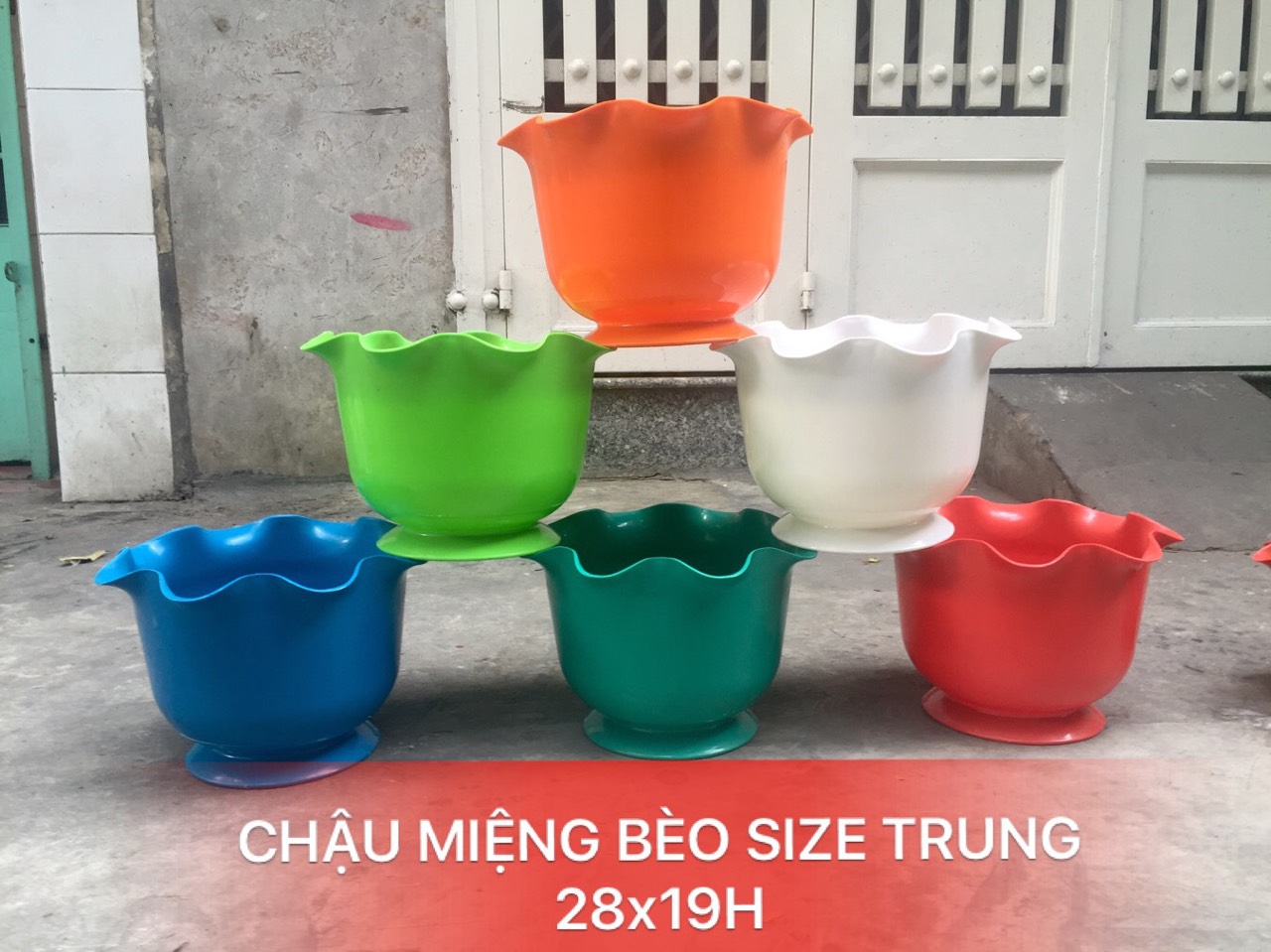 Chậu miệng bèo 28x19H (cm)