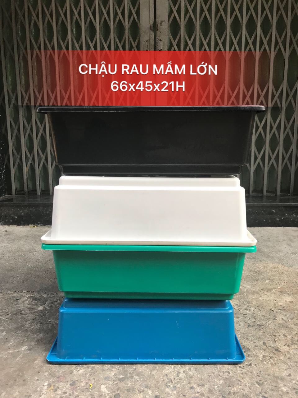 Khay nuôi cá lớn 66x45x21H (cm)