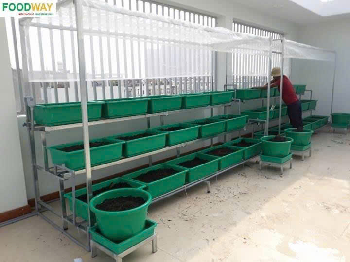 Khay trồng rau lớn 66x45x21H cm