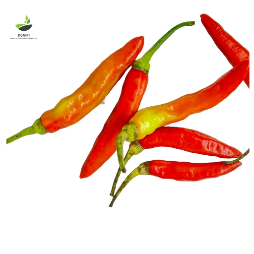 Why are chili peppers popular in Singapore?