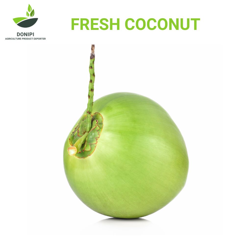 Where Are Coconuts Grown