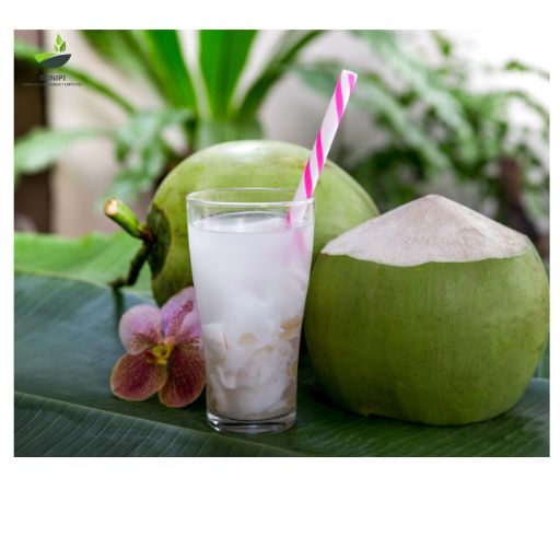 coconut water-9 reasons why we should start a day with