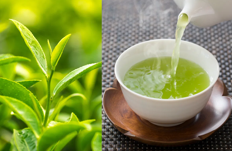 Cách uống trà Thái Nguyên để không ảnh hưởng đến quá trình hấp thụ sắt – người yêu trà nên biết