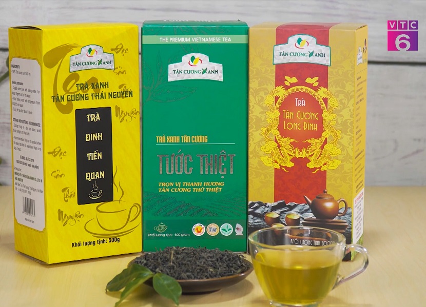 Chè Tân Cương Thái Nguyên - sức sống mới