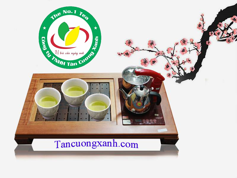 Chè Tân Cương Thái Nguyên ngon biếu tết mua ở đâu