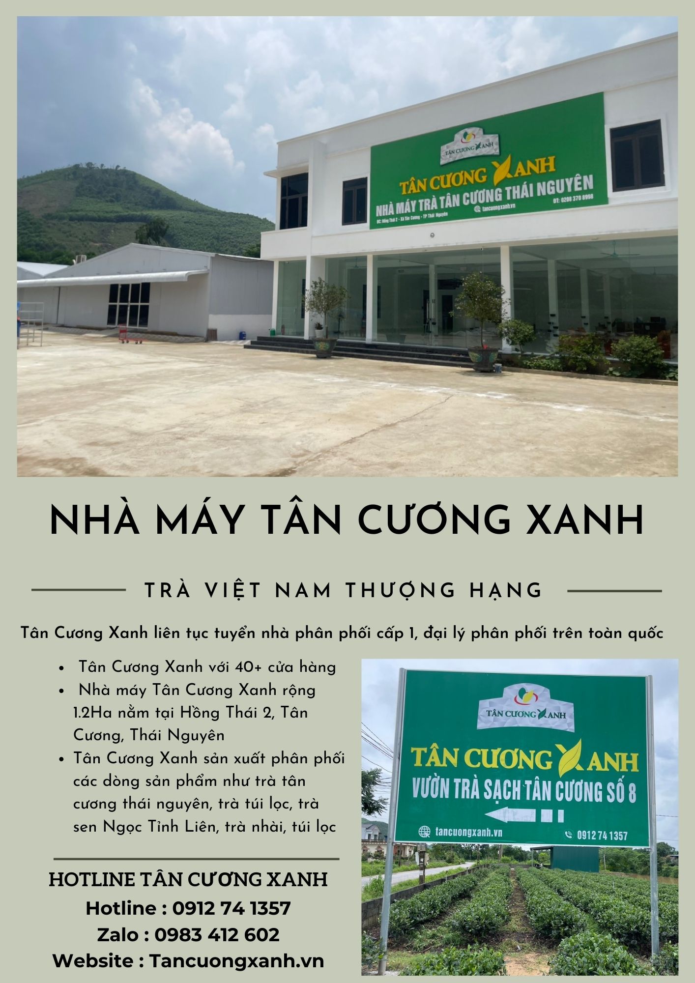 Mua chè Thái Nguyên ngon ở Hà Nội ở đâu