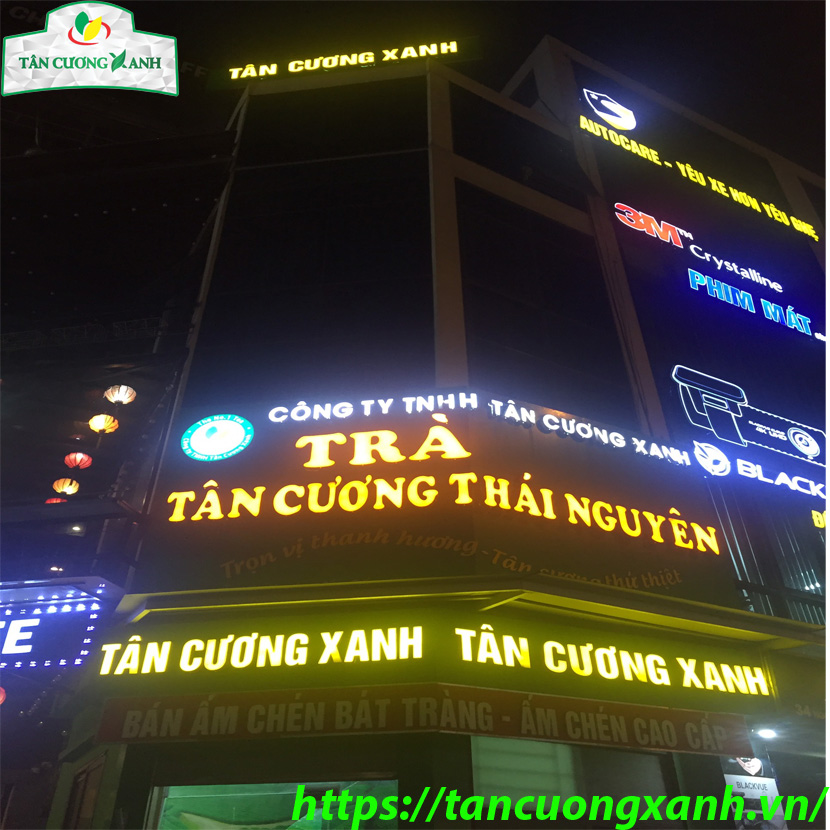 Chè Tân Cương ngon tại Yên Bái