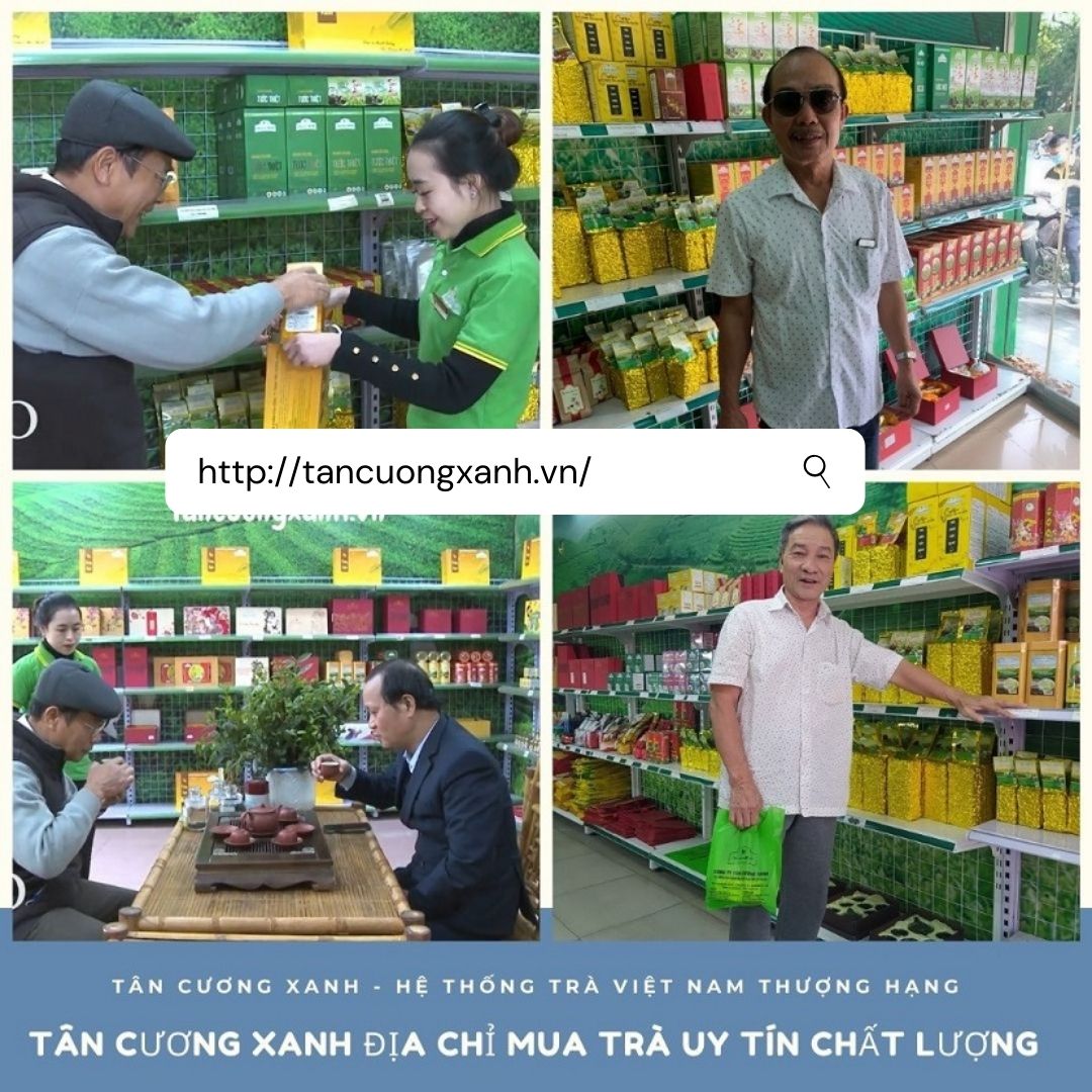 Chè Thái Nguyên Tại Bình Dương