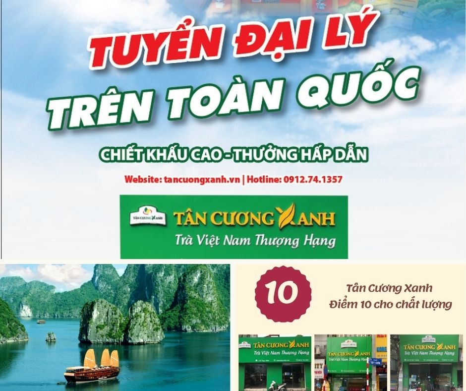 Chè Thái Nguyên Tại Thành Phố Hạ Long