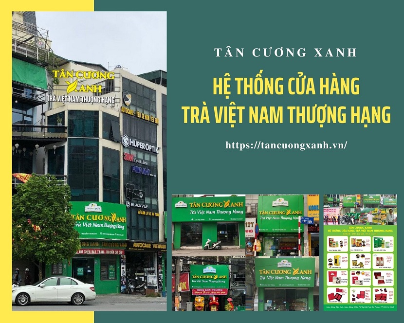 Trồng và sản xuất chế biến chè thái nguyên theo tiêu chuẩn VietGap