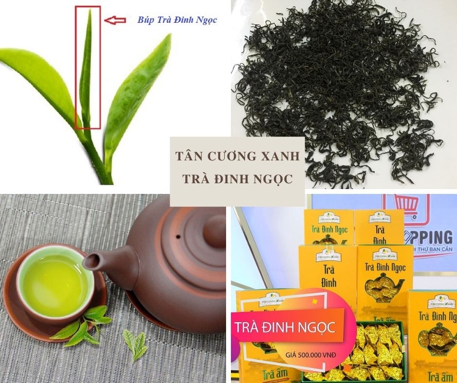 Chè Thái Nguyên - Hội Tụ Tinh Hoa Đất Trời