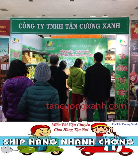 Địa chỉ mua chè Tân Cương Thái Nguyên ngon ở Hà Nội