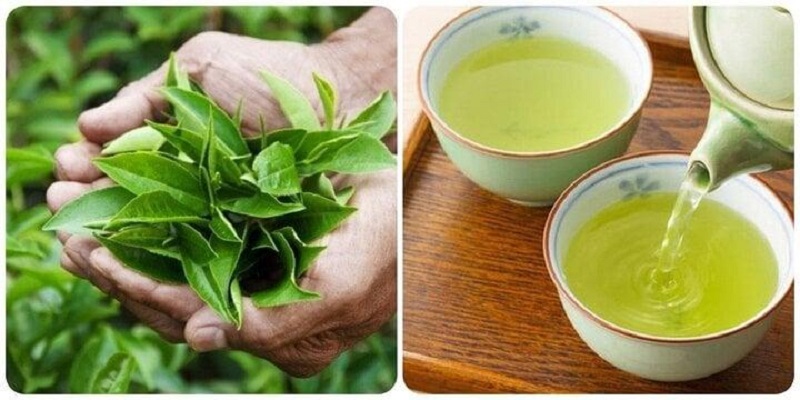 Đưa trà Thái Nguyên đến gần hơn với giới trẻ – Cách tiếp cận mới cho giá trị truyền thống