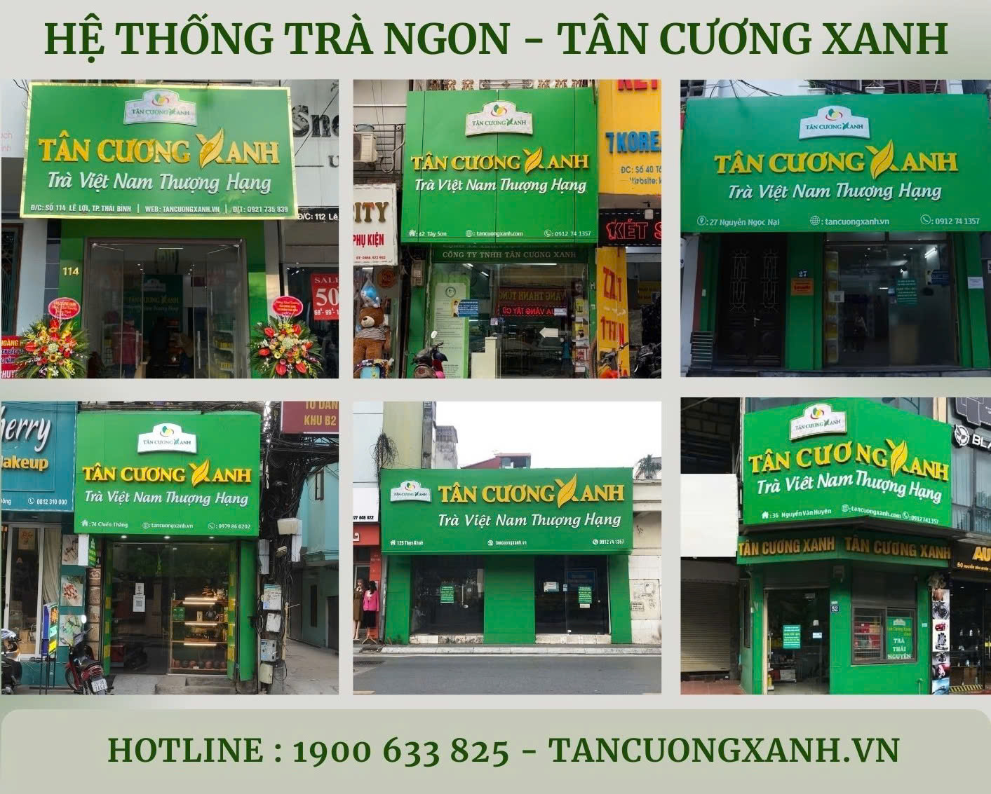 Ai không nên uống trà? Những ảnh hưởng của trà ít người biết