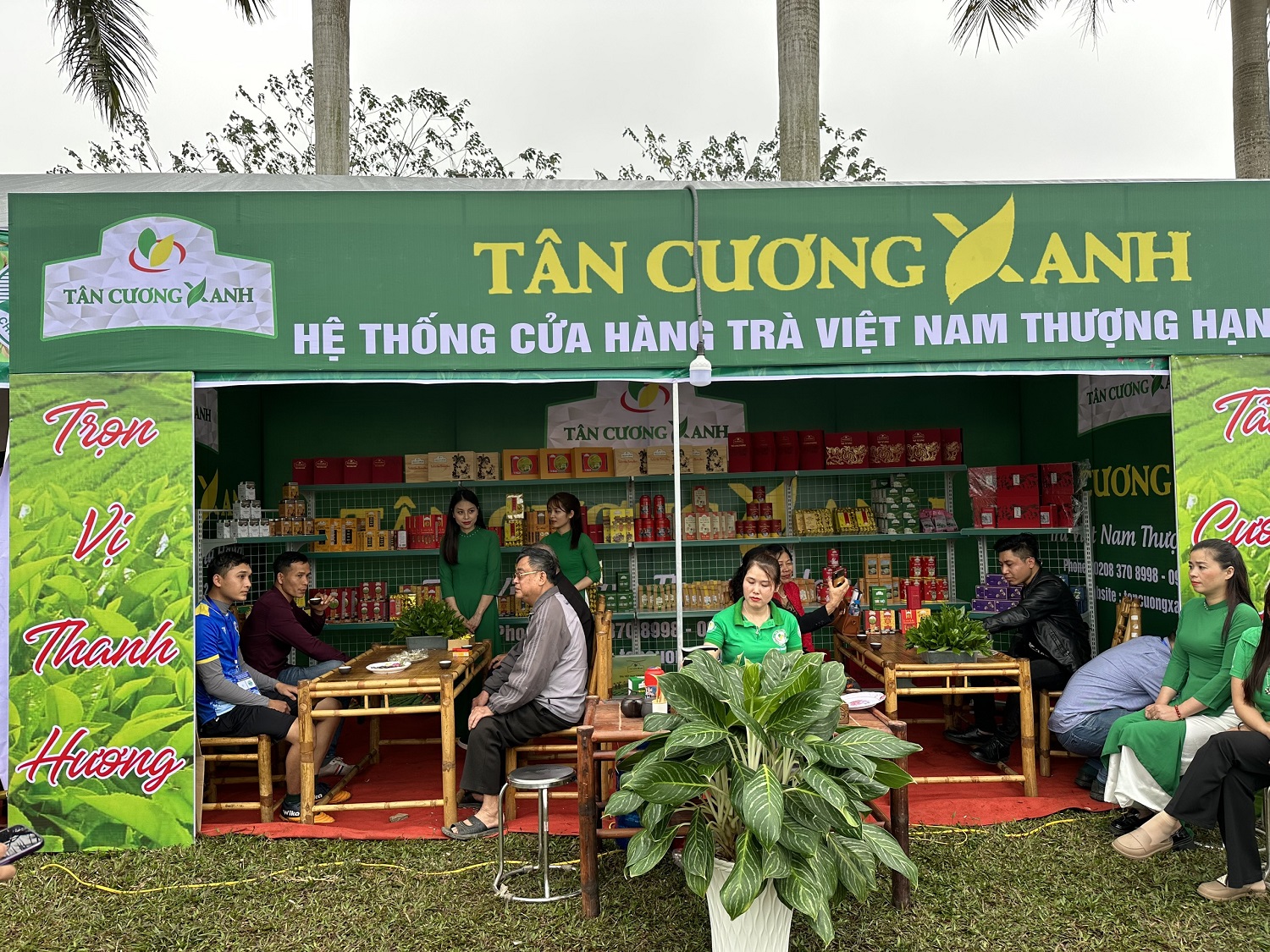 Mua Trà Thái Nguyên Chính Hãng - Bí Quyết Lựa Chọn Chất Lượng