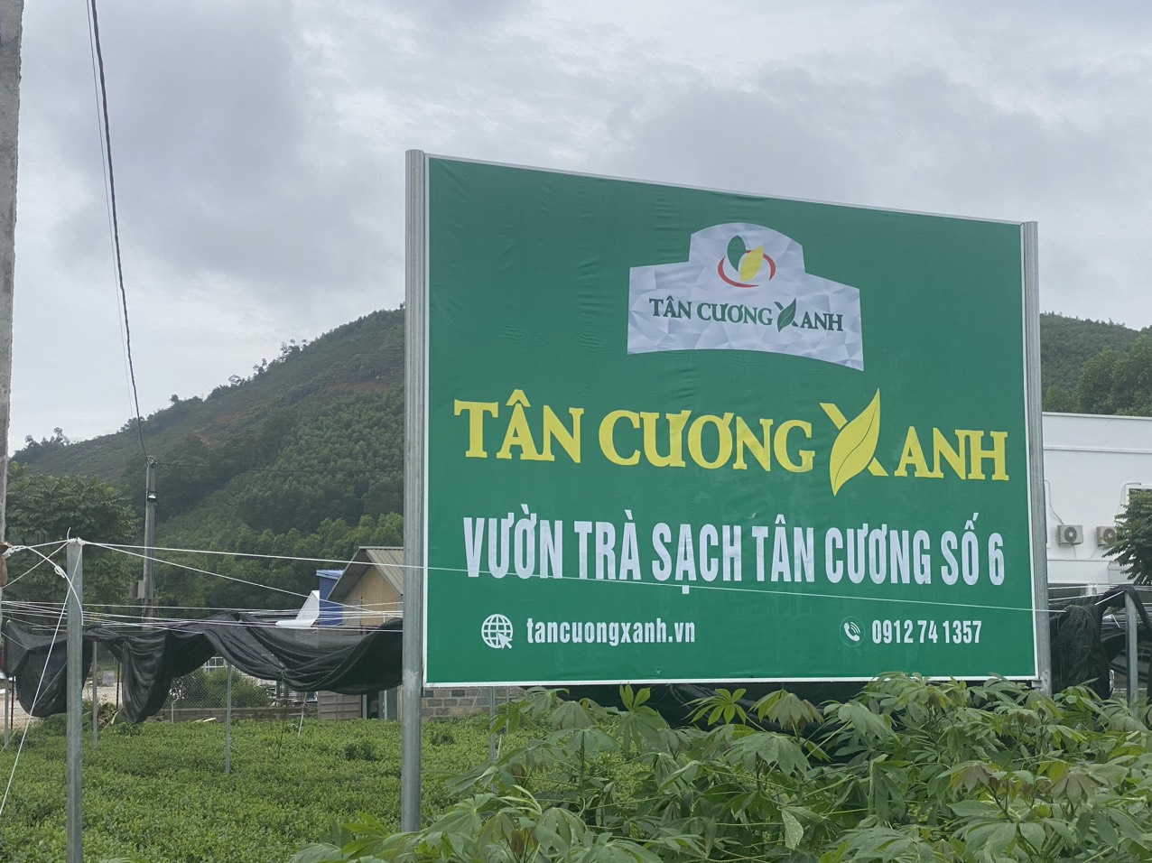 Nước Đầu Nguồn Sông Công Tưới Các Vườn Trà Tân Cương Thái Nguyên Tại Nhà Máy Tân Cương Xanh