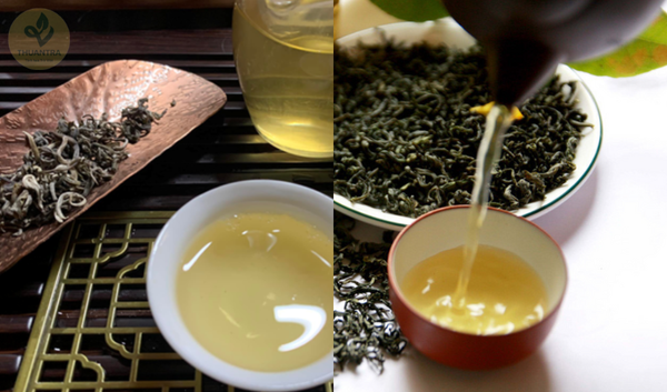 Polyphenol trong trà Thái Nguyên hoạt động ra sao trong quá trình bảo vệ tế bào?