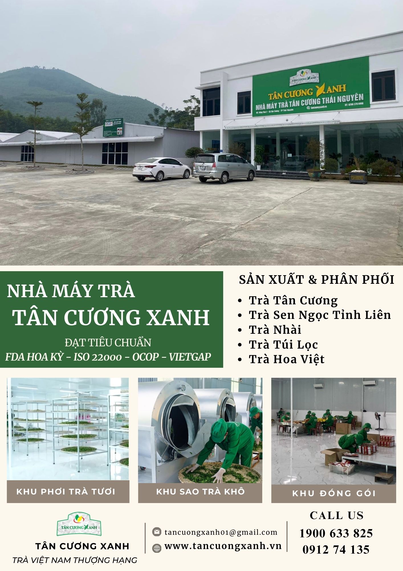 Quy Trình Chăm Sóc Vườn Trà Đinh Tân Cương Xanh