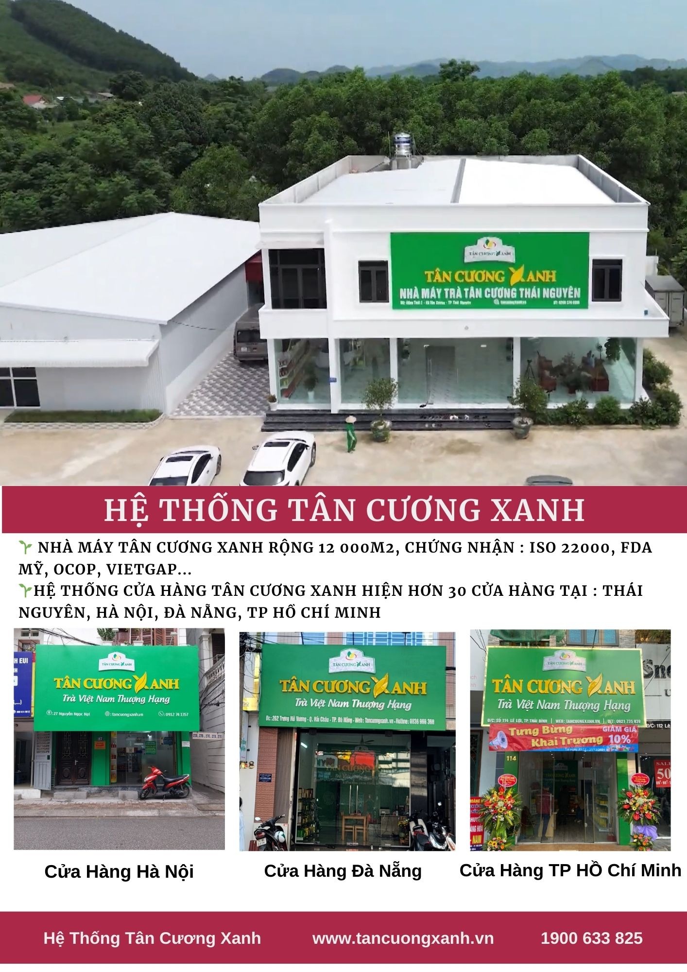 Tác dụng của trà xanh đối với da mụn là gì? Các cách trị mụn bằng trà xanh?