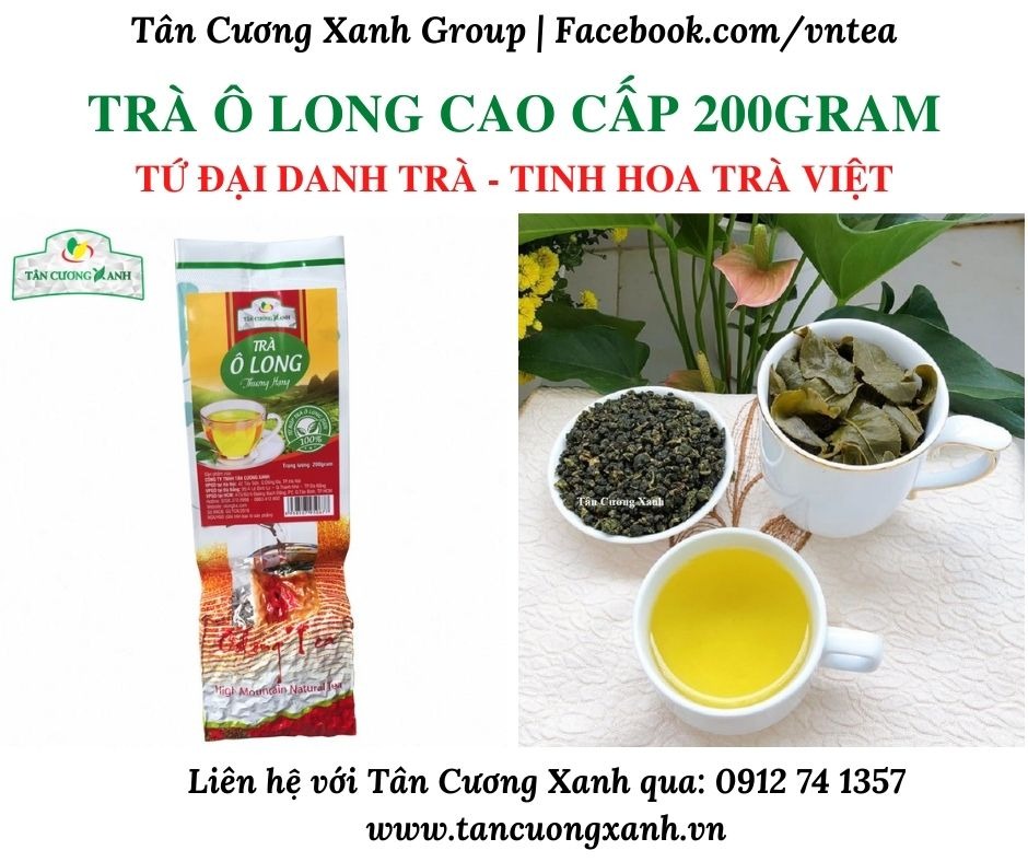 Trà ô long thuộc loại trà gì? Đặc điểm chính và công dụng tuyệt vời với sức khỏe