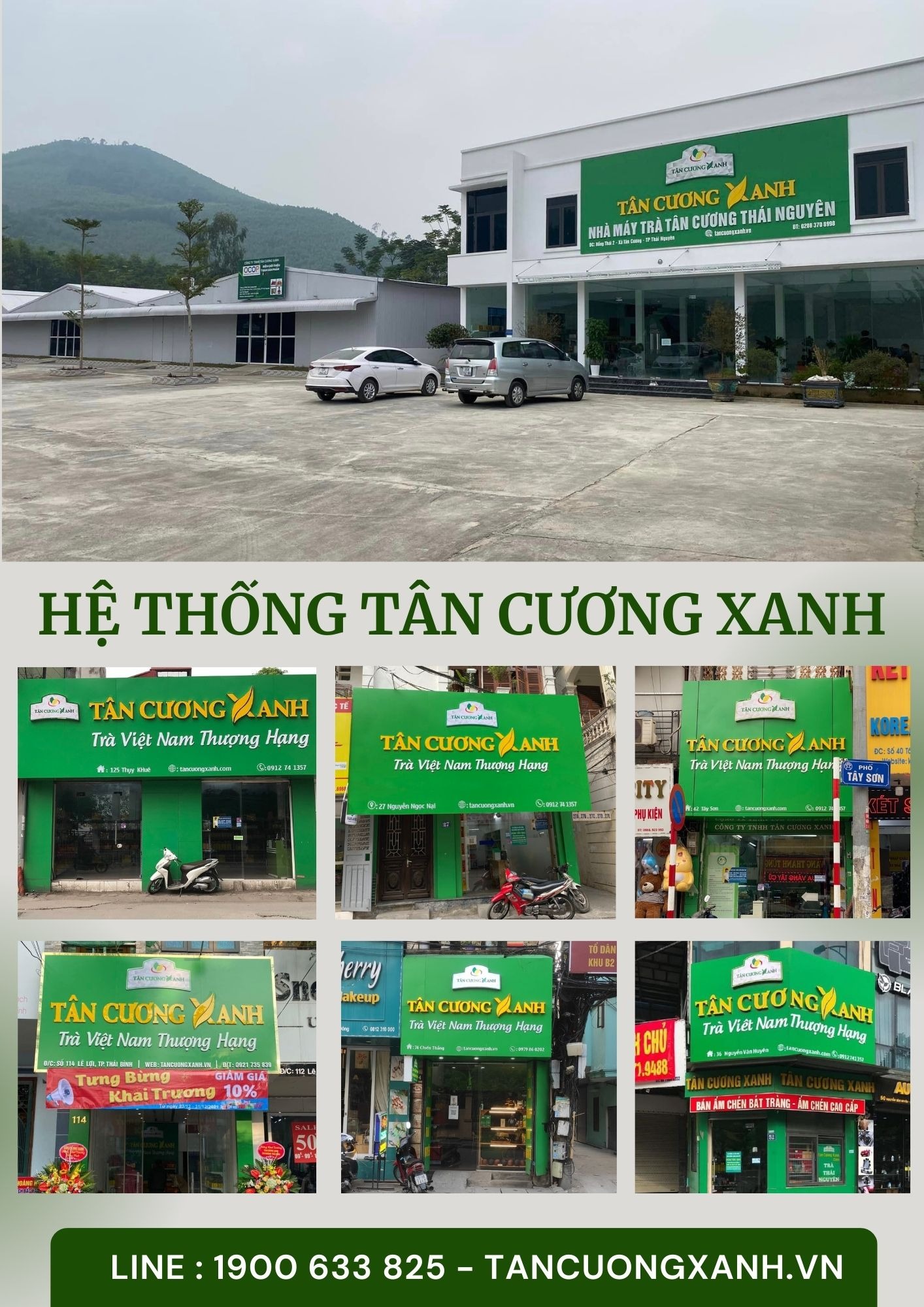 Chè và trà xanh có giống nhau không? Những sự thật bất ngờ sau mỗi tên gọi
