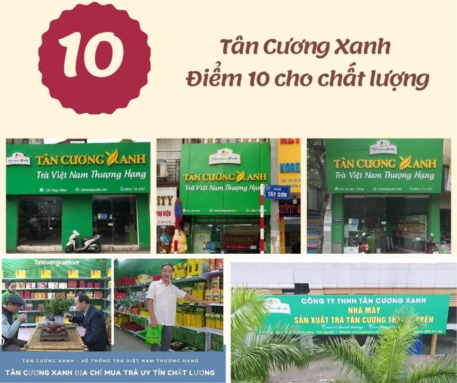 Tân Cương Xanh - Chè Thái Nguyên ngon nhất tại Hà Nội