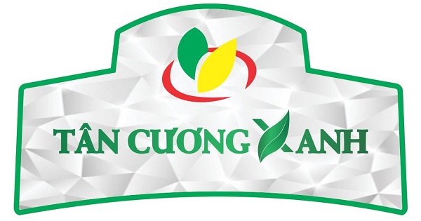 Tận hưởng hương vị cuộc sống cùng sản phẩm trà xanh túi lọc