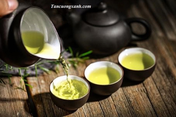 Thói quen uống trà Thái Nguyên của người sành trà có gì đặc biệt?