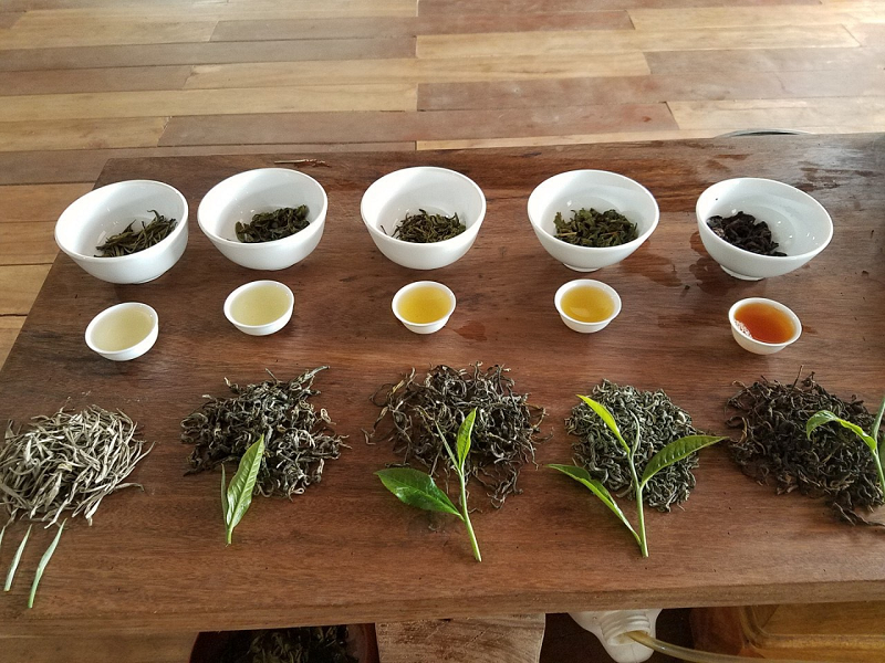 Trà Tân Cương Thái Nguyên giúp giảm cân không?