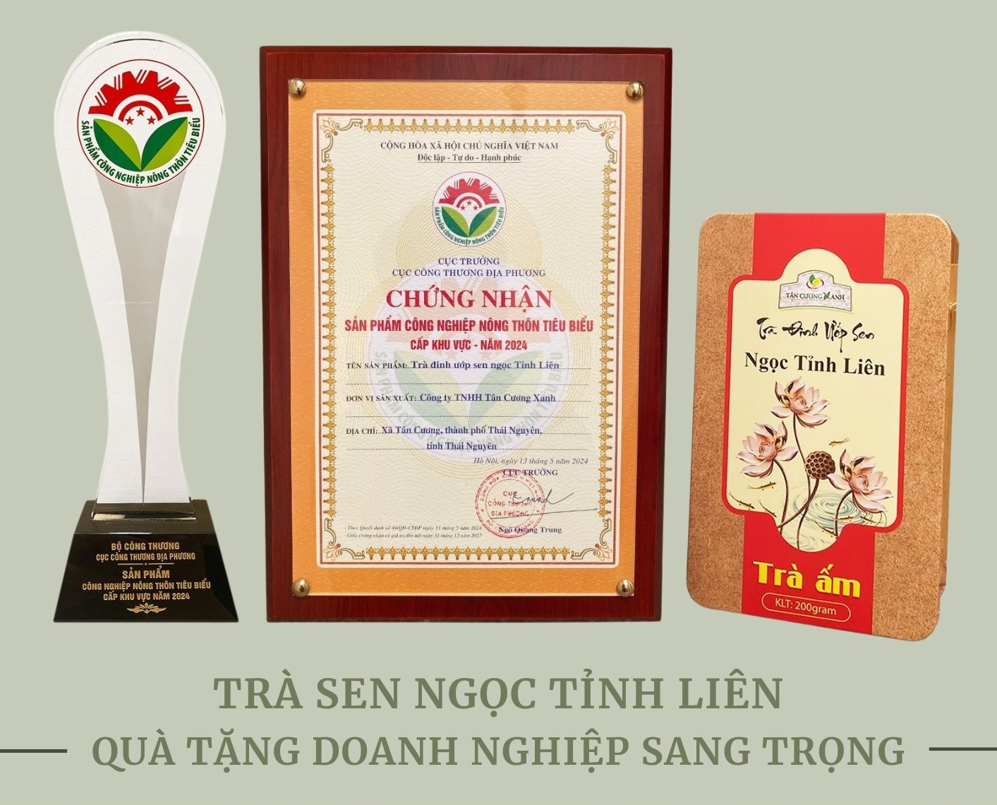 Trà Tân Cương Thái Nguyên - Món Quà Tết Tinh Tế Đầy Ý Nghĩa