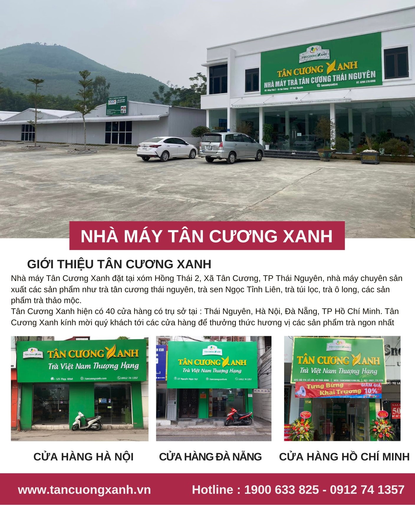 Trà Thái Nguyên Tân Cương Xanh tại Thành phố Hồ Chí Minh - Hương vị trà Bắc giữa lòng đô thị sôi động