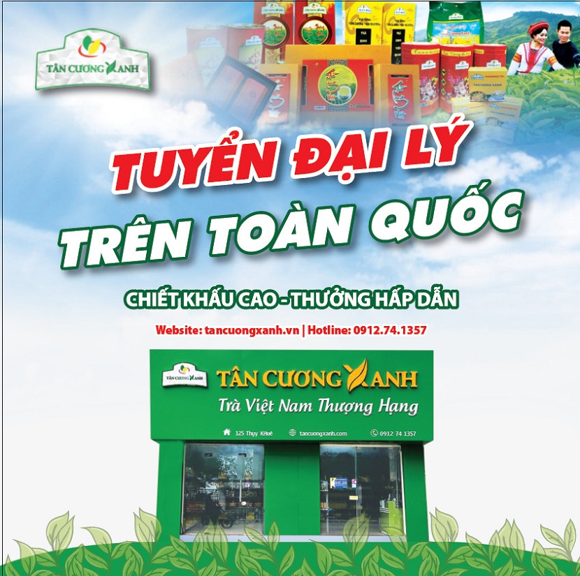 Tuyển đại lý chè tân cương thái nguyên tại hà nội