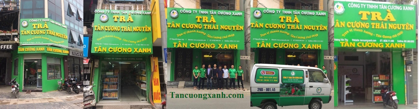 Tuyển Đại Lý Chè Tân Cương Thái Nguyên Toàn Quốc